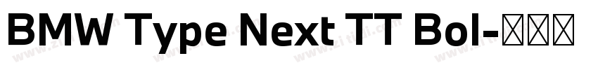 BMW Type Next TT Bol字体转换 BMW Type Next TT Bol字体转换